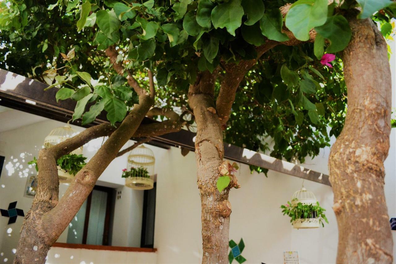 Casa Gandamar B&B Санта-Тереза-Галлура Экстерьер фото