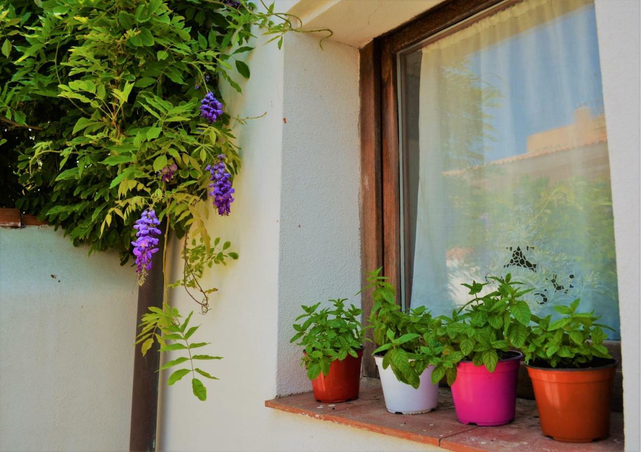 Casa Gandamar B&B Санта-Тереза-Галлура Экстерьер фото