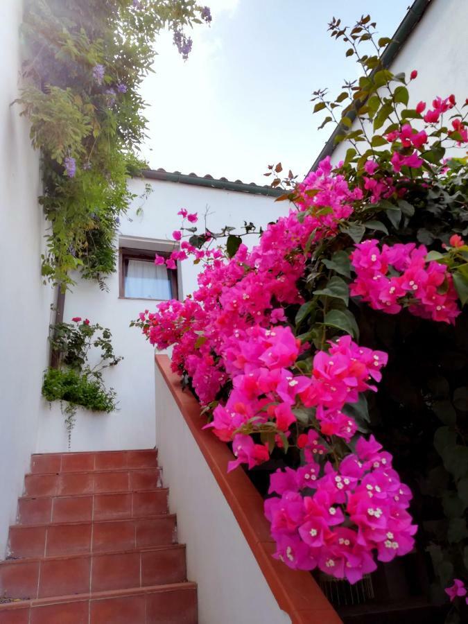 Casa Gandamar B&B Санта-Тереза-Галлура Экстерьер фото